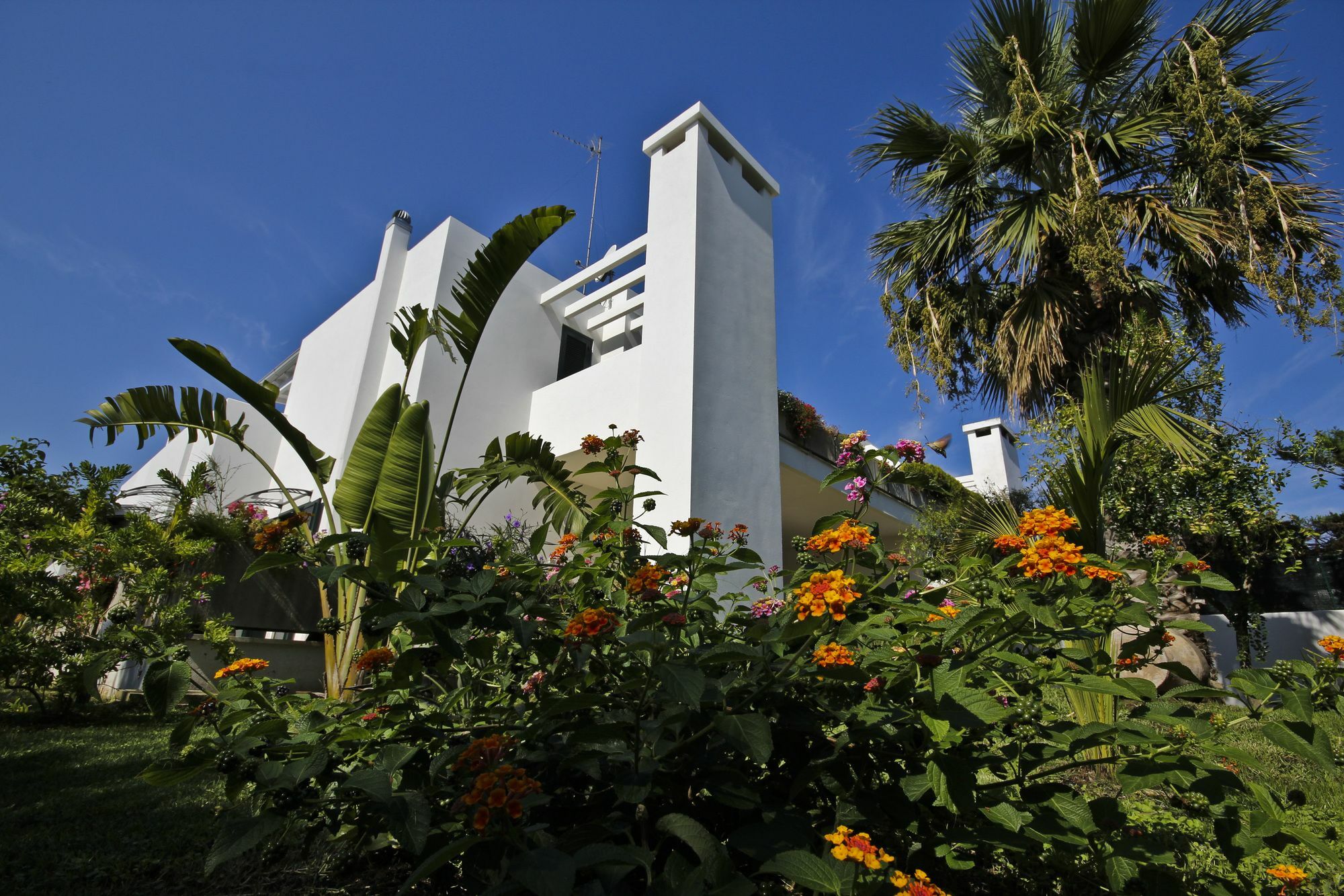 B&B Villa Genny A Pochi Passi Dal Mare 圣卡塔尔多 外观 照片